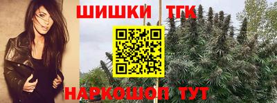 гашик Краснознаменск