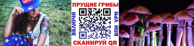 Псилоцибиновые грибы мухоморы  Элиста 