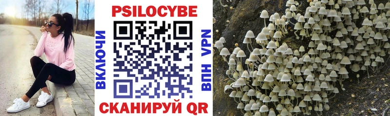 Галлюциногенные грибы Psilocybe Элиста