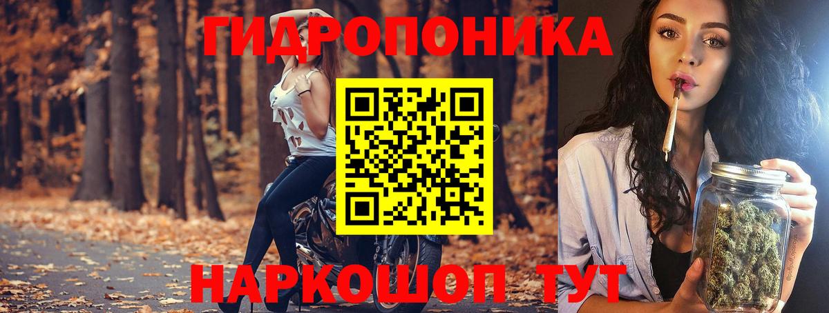 Бошки марихуана семена  Бошки Шишки THC 21%  Элиста  Вход с VPN  Конопля индика  Конопля план 